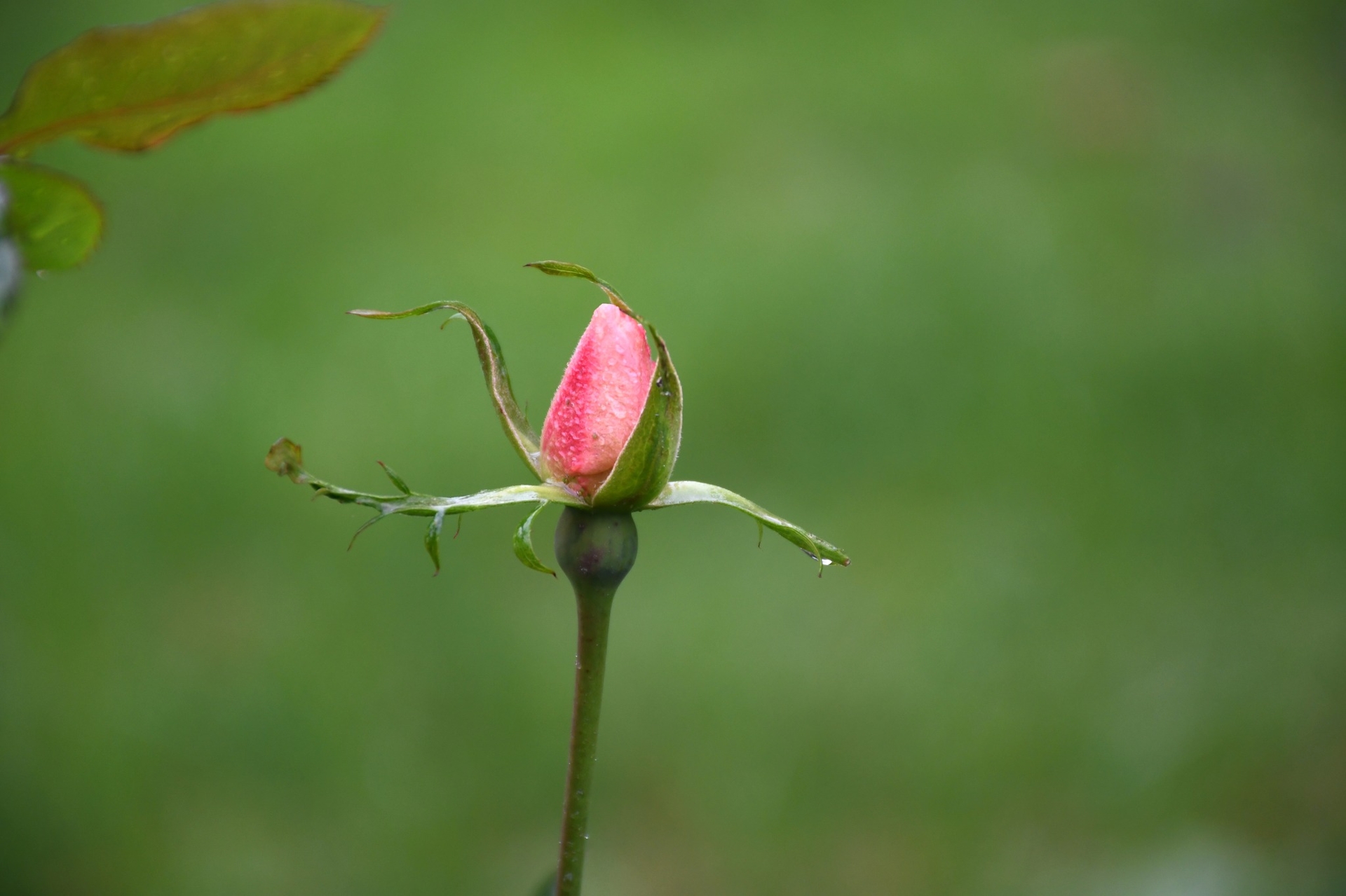 Nếu thấy không hạnh phúc thì buông đi