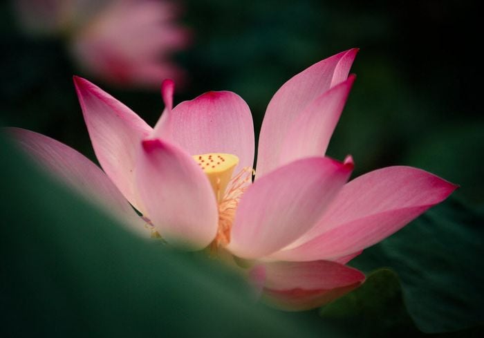 Chẳng có gì để nắm giữ