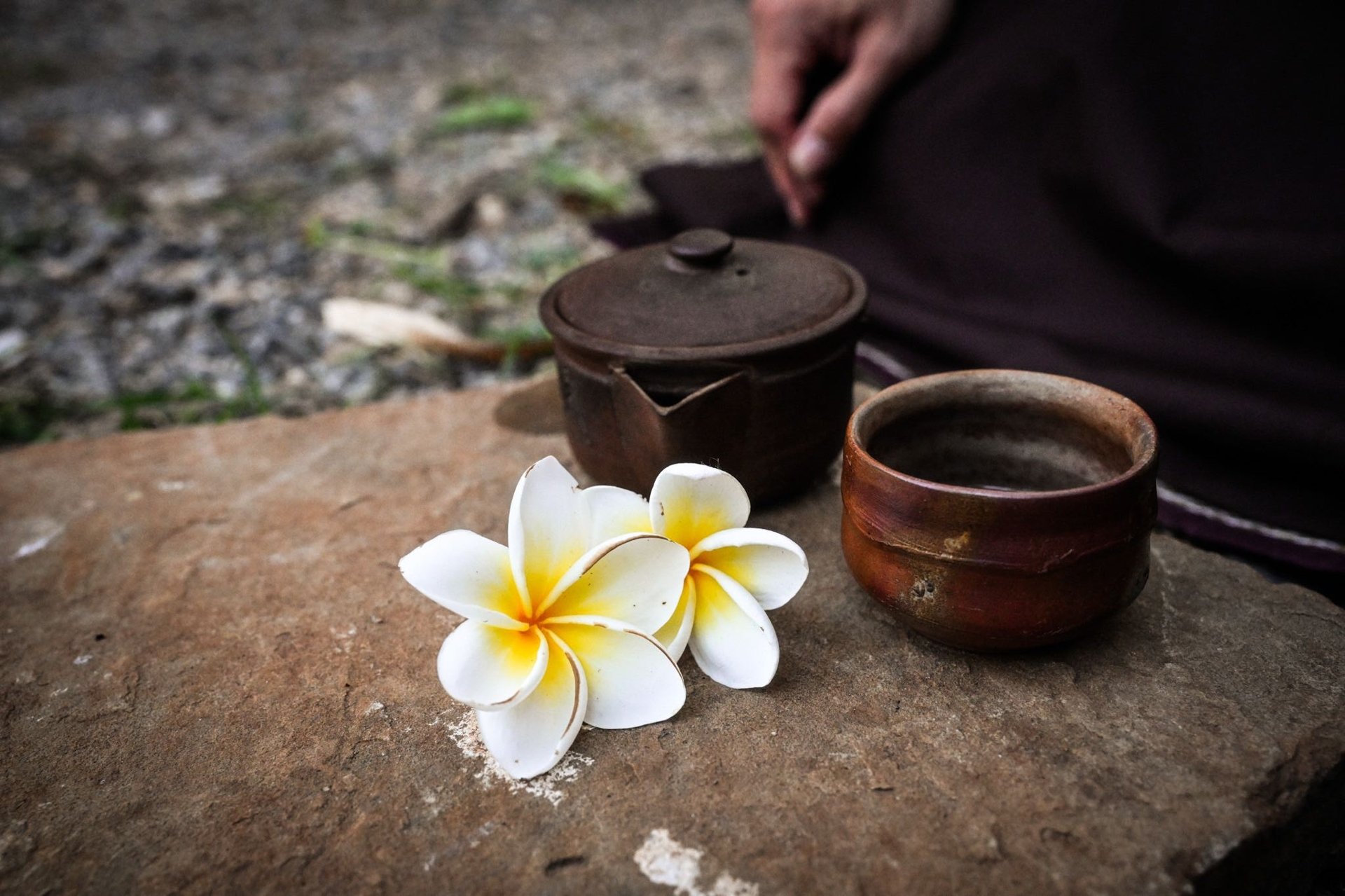 Chăm chỉ gieo nhân lành