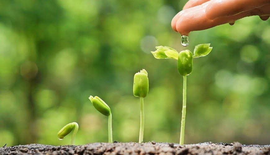 Phật nói kinh bố thí đồ ăn đạt được năm phước báo