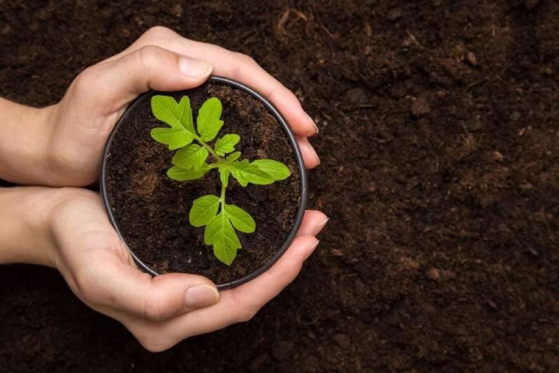Sự sống là phụ thuộc lẫn nhau
