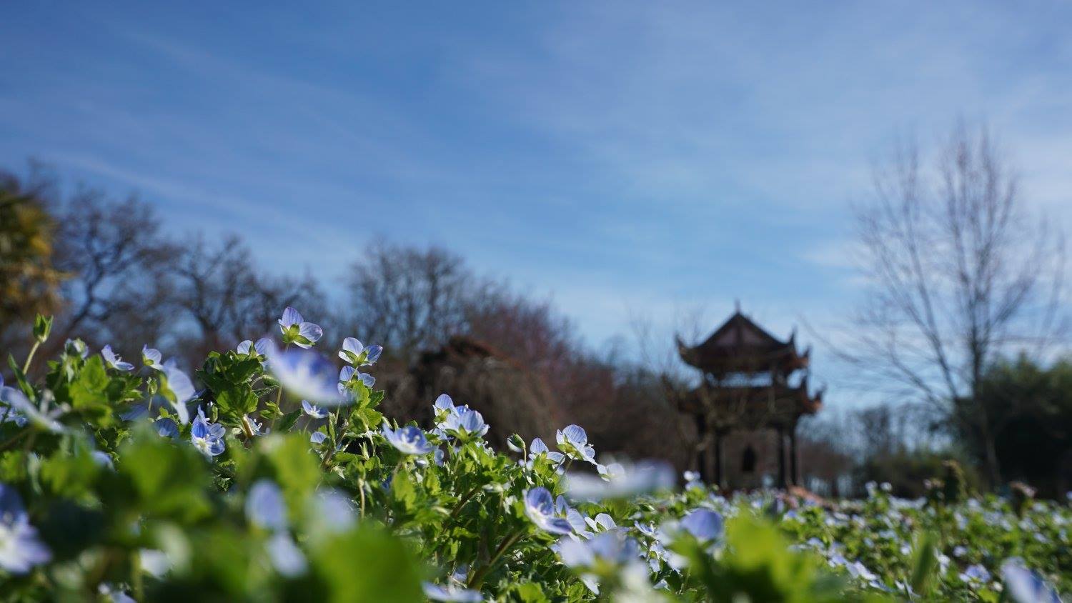 Thứ quý giá nhất
