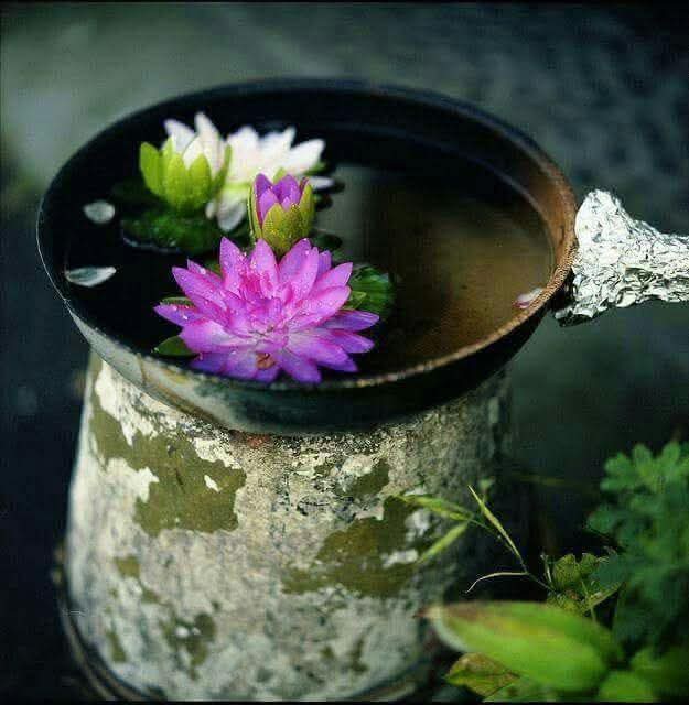 Trân trọng những nhân duyên trong đời