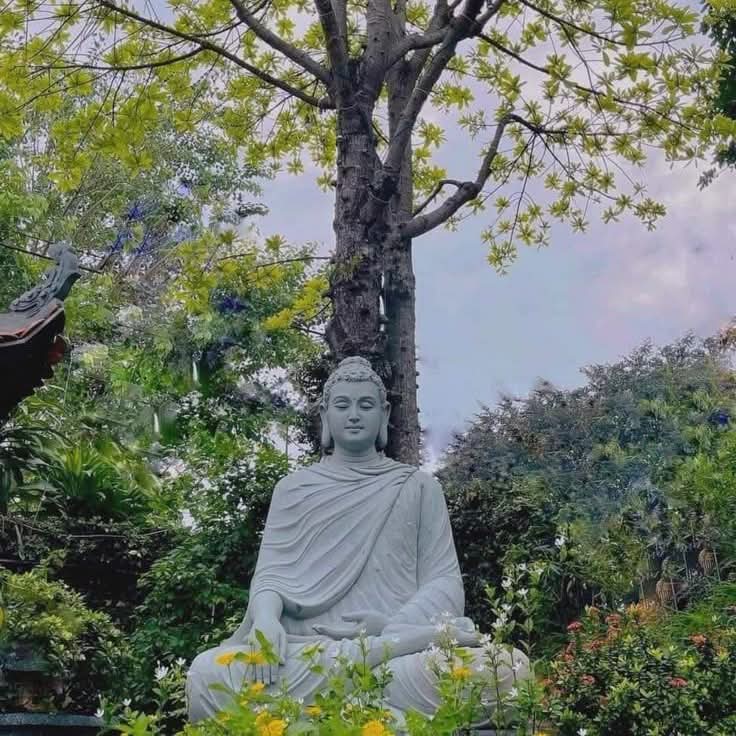 Muốn hạnh phúc, đừng đi tìm