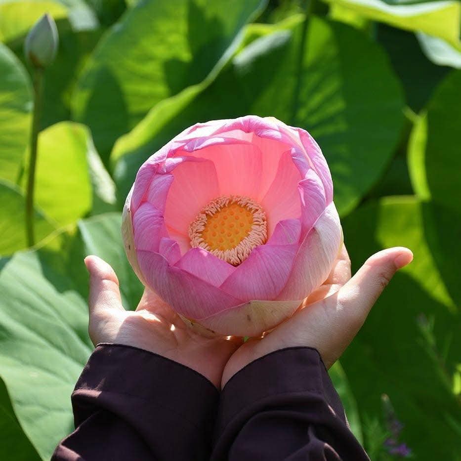 Khi con làm từ thiện