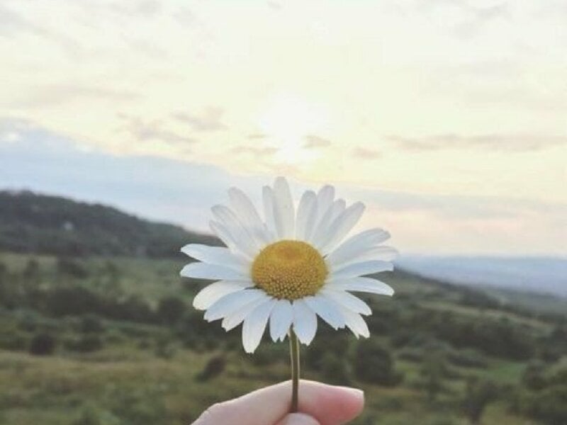 Làm phước khi còn hơi thở
