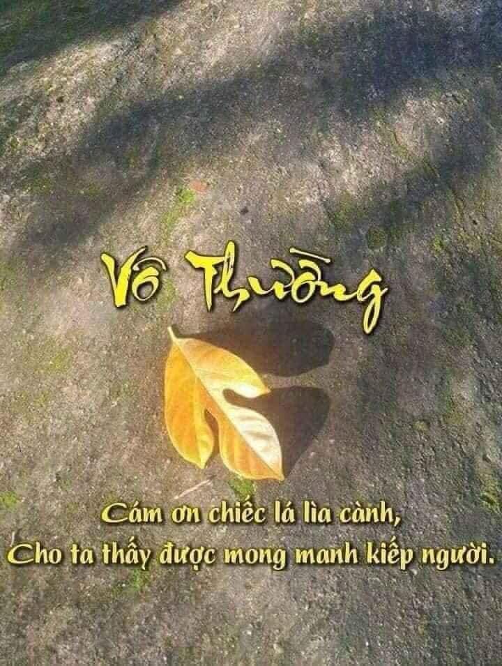 Khi ta còn giữ hơi thở nhẹ nhàng