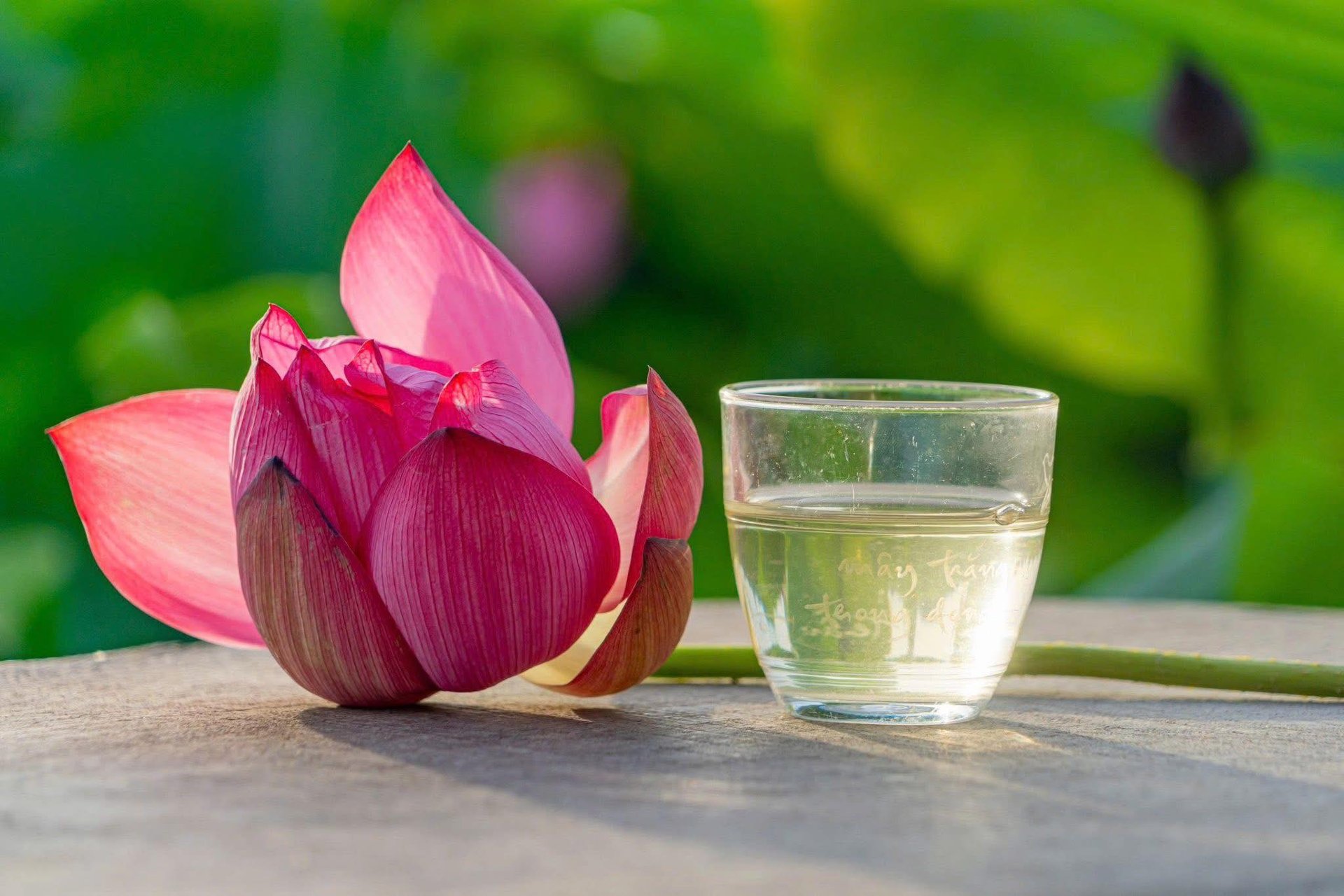 Nếu bạn nhìn cuộc đời bằng đôi mắt phán xét