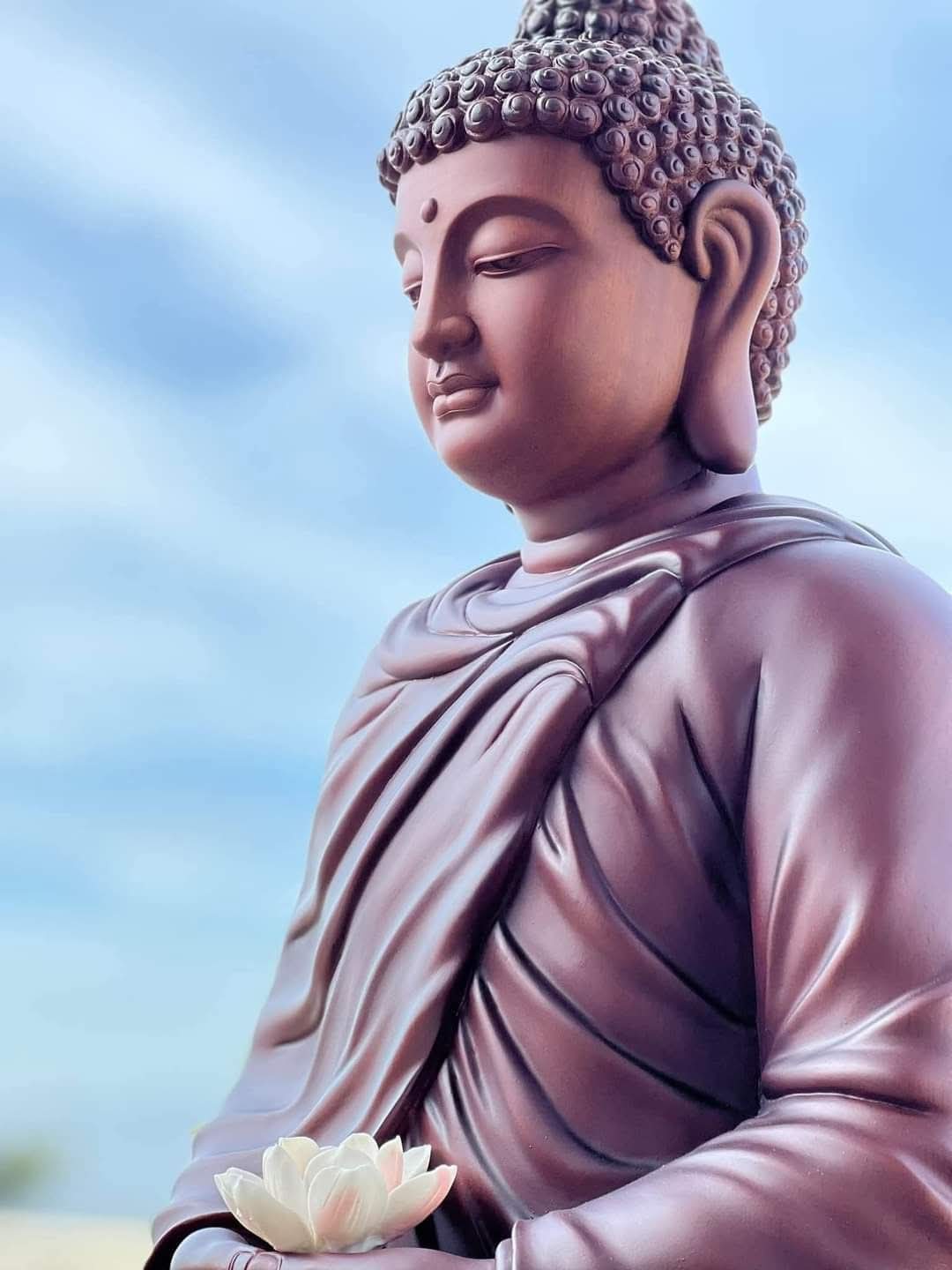Đừng để cơn sân thiêu rụi sự bình yên