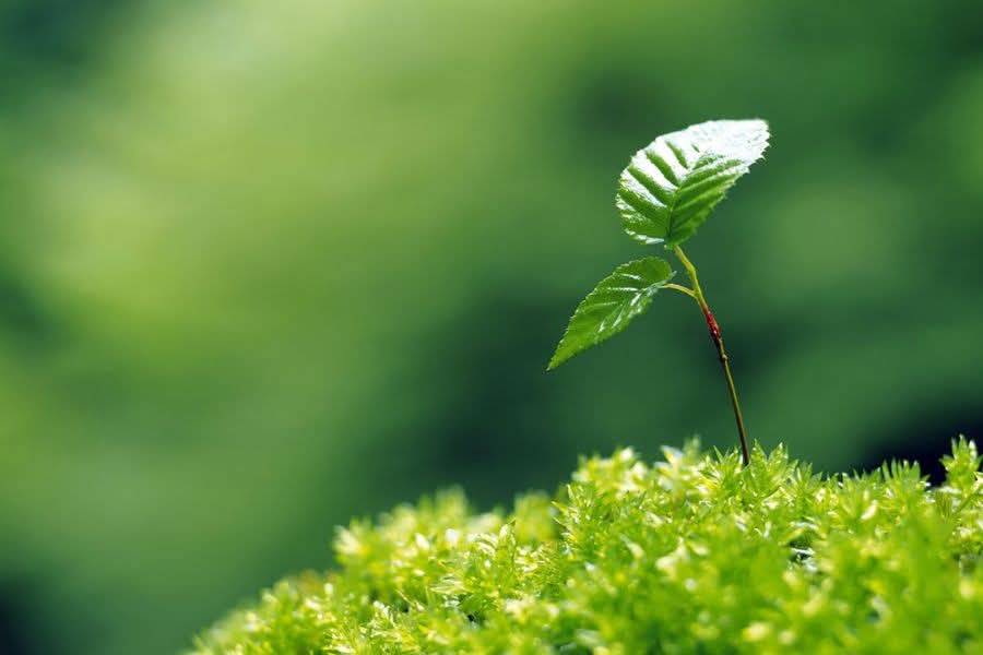 Đừng bao giờ khờ dại mà khinh thường người khác 