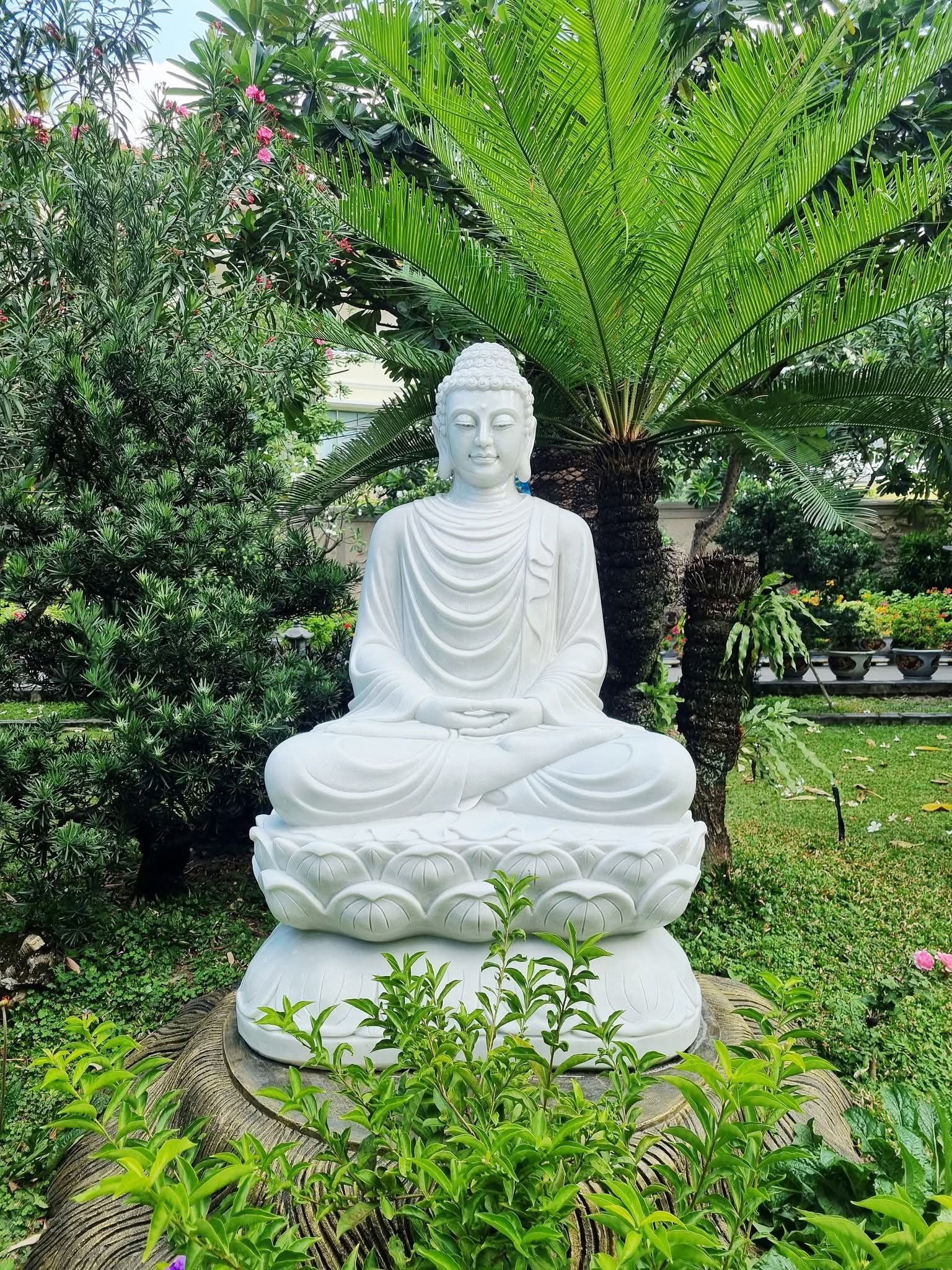 Đừng gieo khổ cho người 