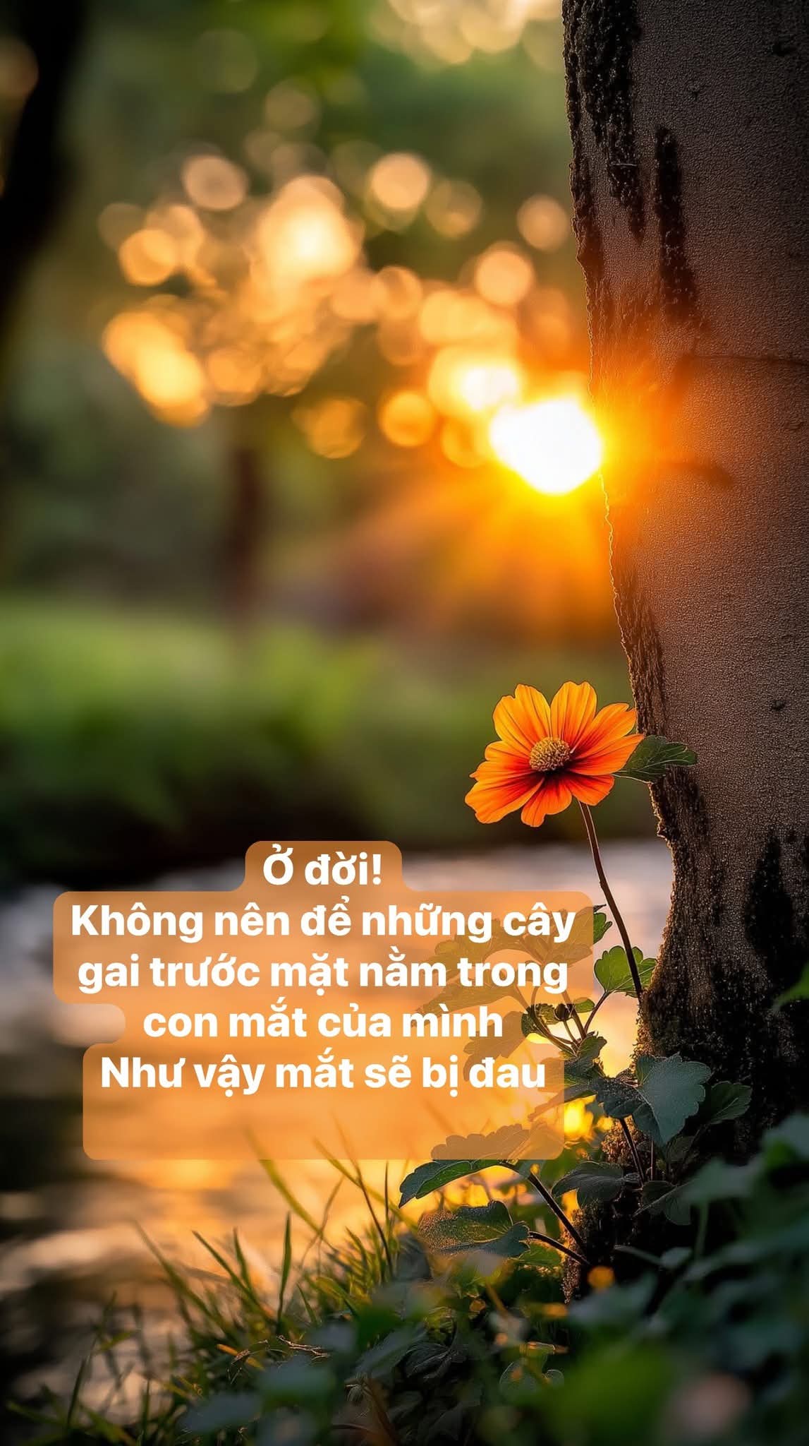 Thấy vậy mà không phải vậy 