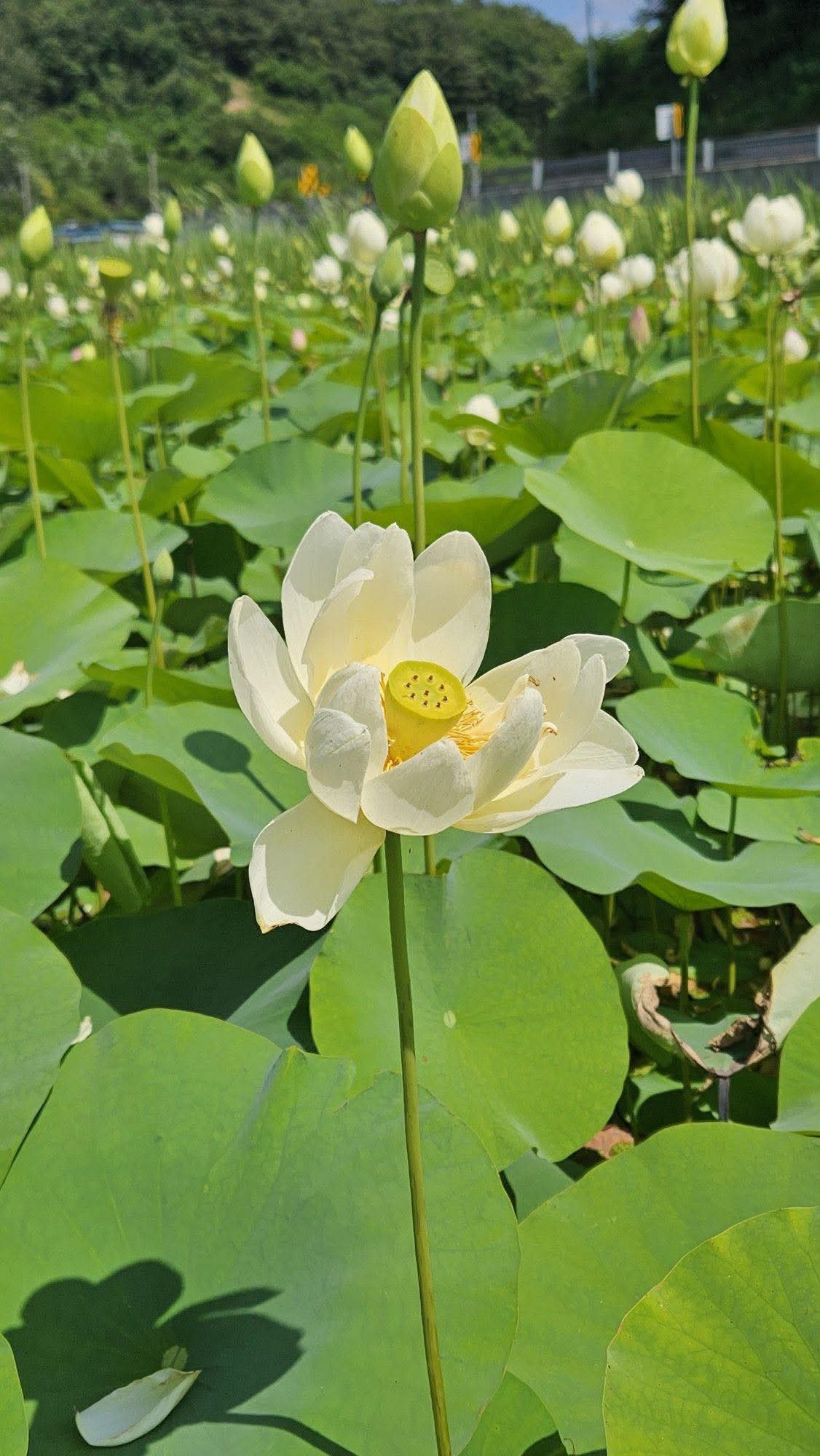 Không giúp được người, xin giữ miệng mình