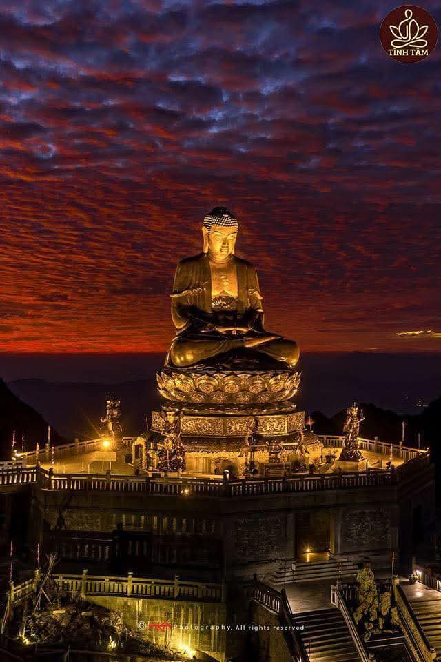 Học cách thôi không phán xét