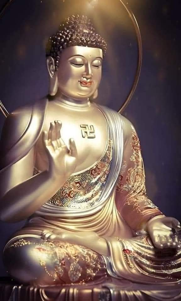 Tu được thì tu ngay