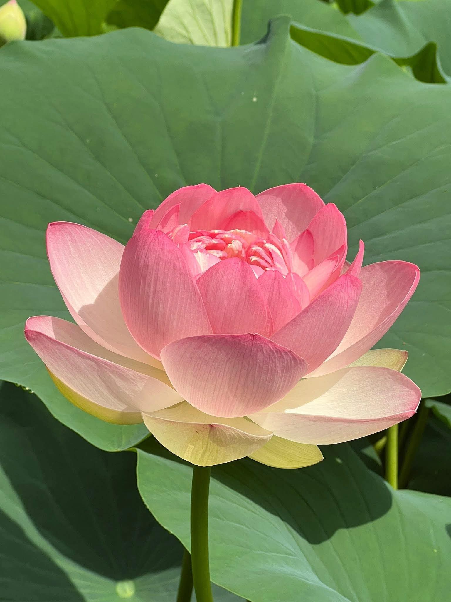 Lắng nghe và nhìn lại