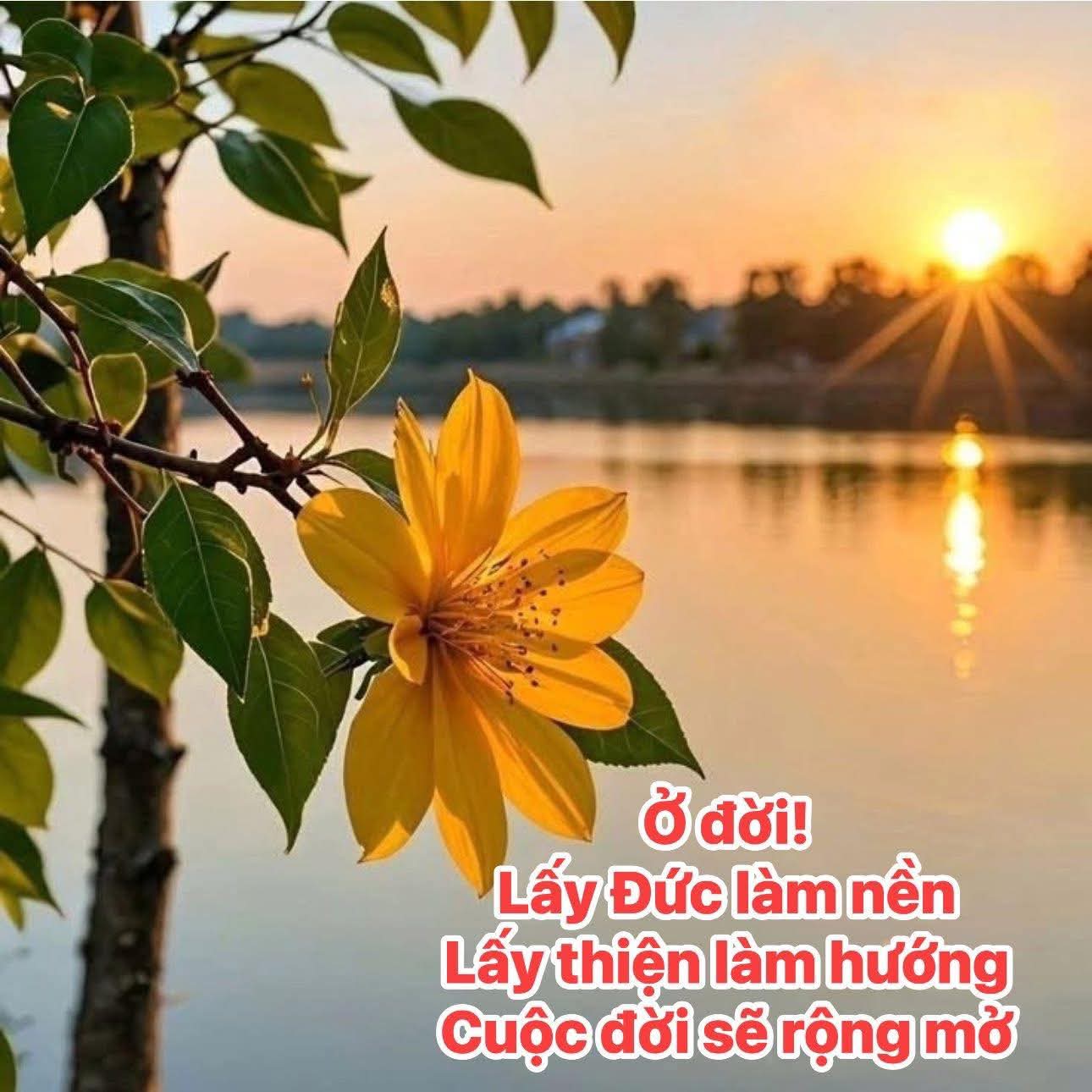 Từ bi tâm