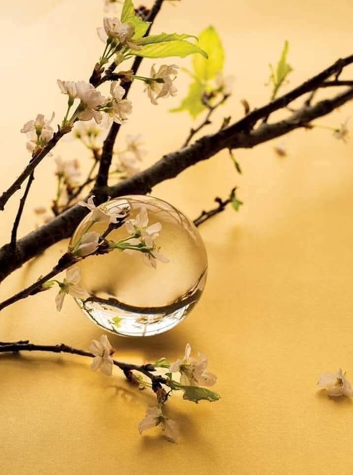 Từ bi là chấp nhận khiếm khuyết của người khác