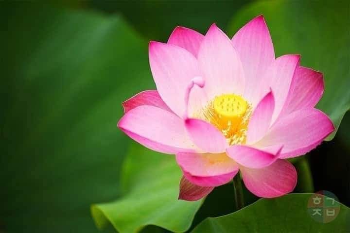 Chưa tu và tu rồi