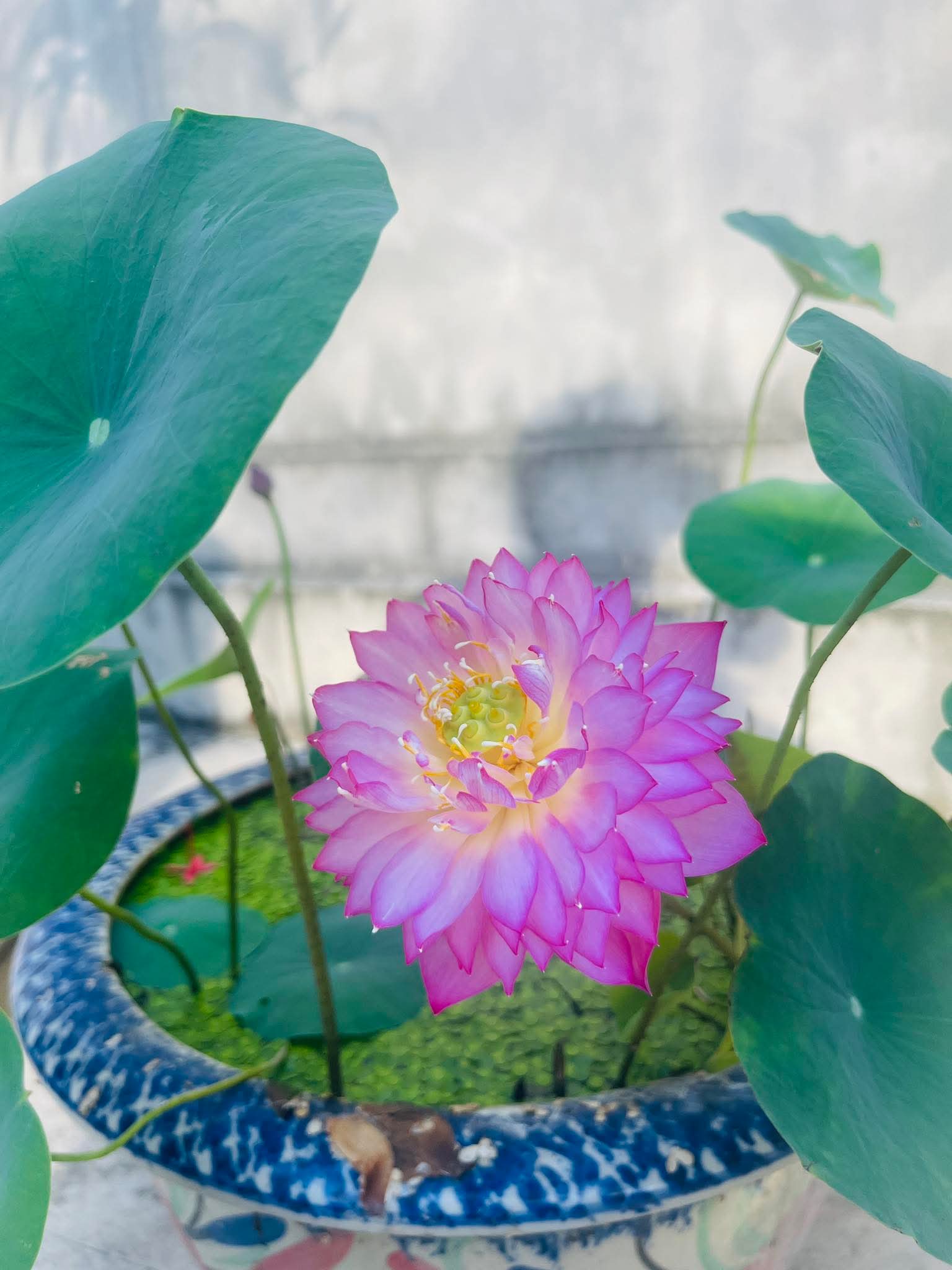 Khen ngợi việc tốt