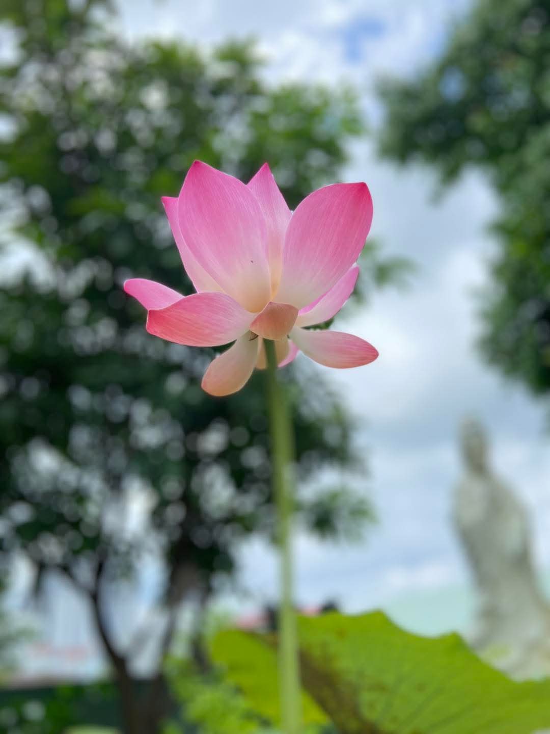 Suy nghĩ ít lại