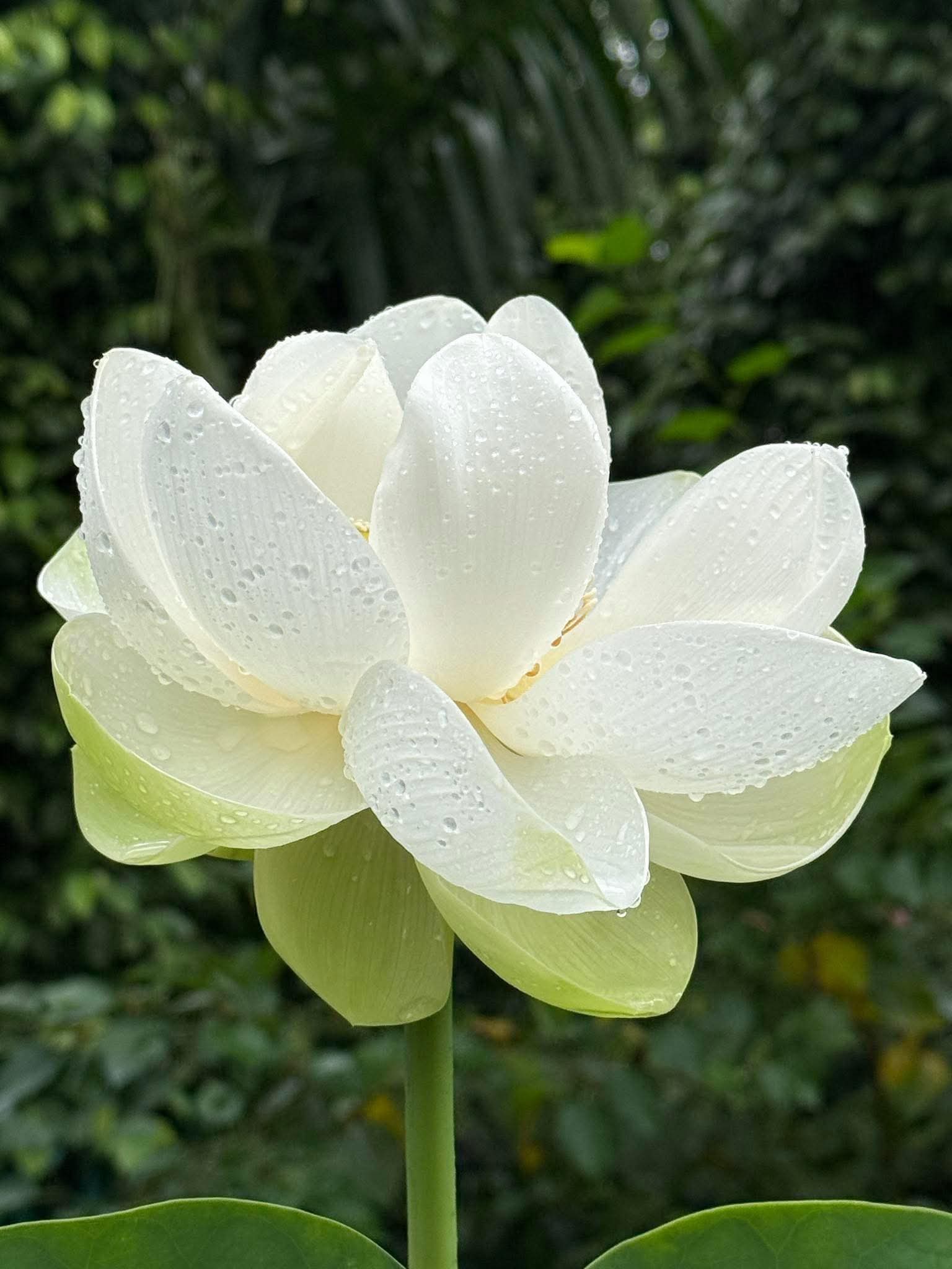 Thuận cảnh hay nghịch cảnh