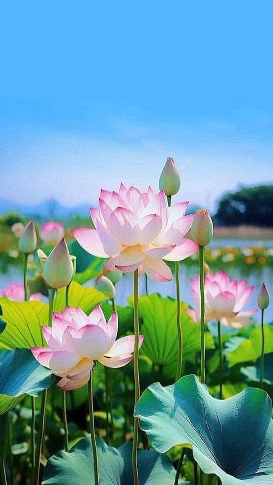 Để con bạn ở gần người tốt