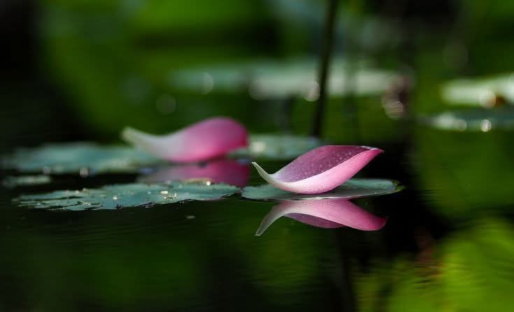 2 thứ buông không đành
