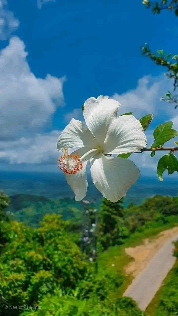 Hãy trân trọng