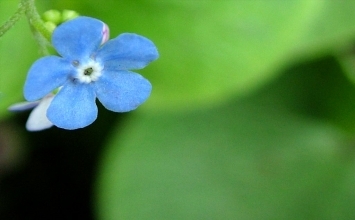 Trước khi làm gì
