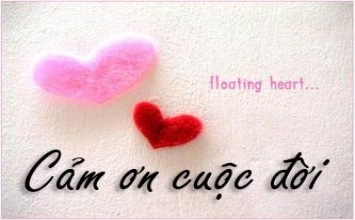 Cảm ơn cuộc đời