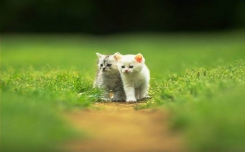 Đừng chờ đợi