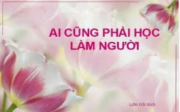 Cuộc đời là một trường học lớn