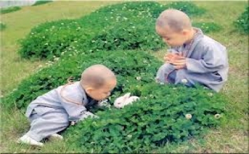 Nhìn lại “ngày tận thế”