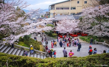 Kiyomizu Dera - chùa cổ nổi tiếng nhất Kyoto