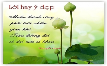 Lời hay ý đẹp