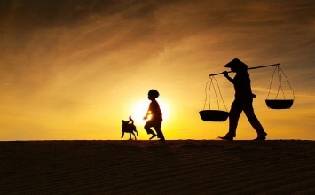 Nhiều lần con sai, mẹ đều nâng đỡ...