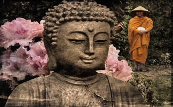 Những con ngựa dữ