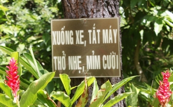 Phật tử đến chùa cần biết những gì? 