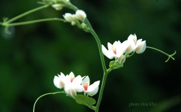 Trời mưa trời nắng